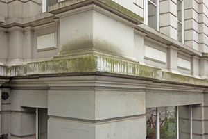  Die Stuckfassade an einem Mehrfamilienhaus in Hannover zeigte starke Witterungsschäden 